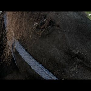 Meet your Posher, Nina